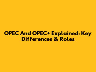 OPEC And OPEC+ Explained: Key Differences & Roles