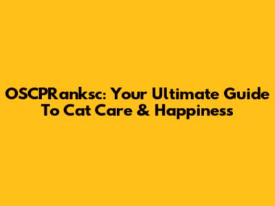 OSCPRanksc: Your Ultimate Guide To Cat Care & Happiness