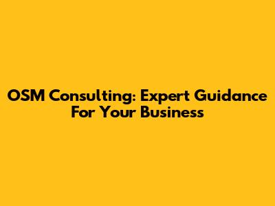 OSM Consulting: Expert Guidance For Your Business