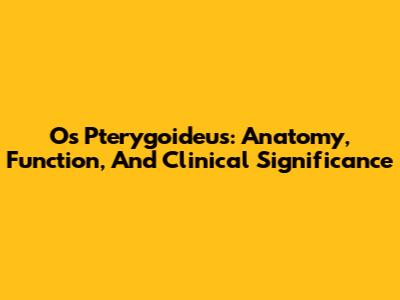 Os Pterygoideus: Anatomy, Function, And Clinical Significance