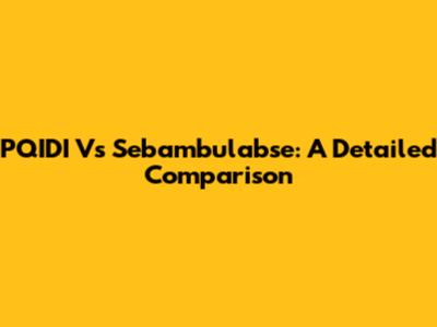 PQIDI Vs Sebambulabse: A Detailed Comparison