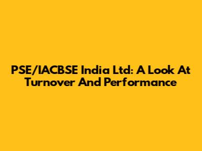PSE/IACBSE India Ltd: A Look At Turnover And Performance