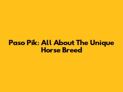 Paso Pik: All About The Unique Horse Breed