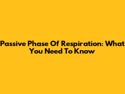 Passive Phase Of Respiration: What You Need To Know