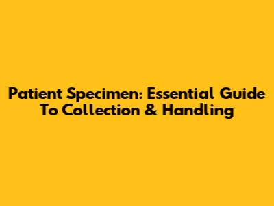 Patient Specimen: Essential Guide To Collection & Handling
