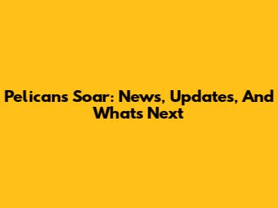 Pelicans Soar: News, Updates, And What's Next