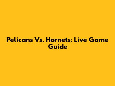 Pelicans Vs. Hornets: Live Game Guide