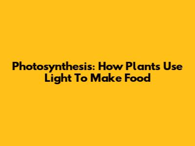 Photosynthesis: How Plants Use Light To Make Food