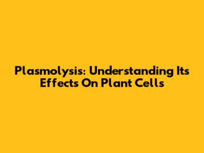Plasmolysis: Understanding Its Effects On Plant Cells