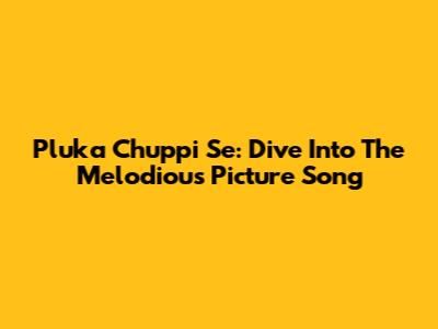 Pluka Chuppi Se: Dive Into The Melodious Picture Song