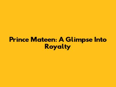 Prince Mateen: A Glimpse Into Royalty