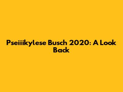 Pseiiikylese Busch 2020: A Look Back