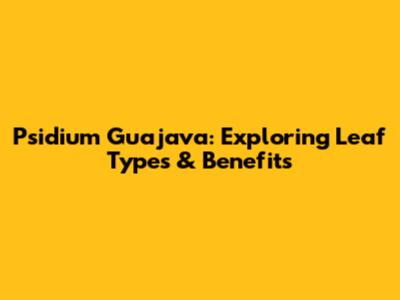 Psidium Guajava: Exploring Leaf Types & Benefits