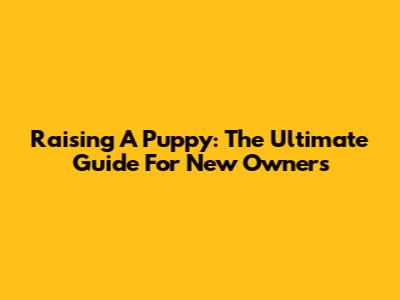 Raising A Puppy: The Ultimate Guide For New Owners