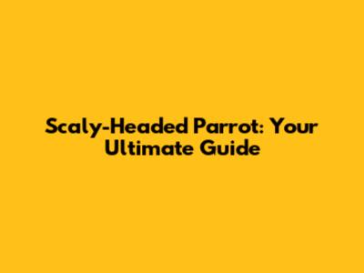 Scaly-Headed Parrot: Your Ultimate Guide