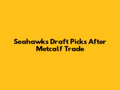 Seahawks Draft Picks After Metcalf Trade