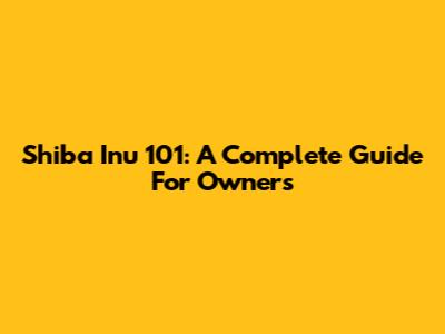 Shiba Inu 101: A Complete Guide For Owners