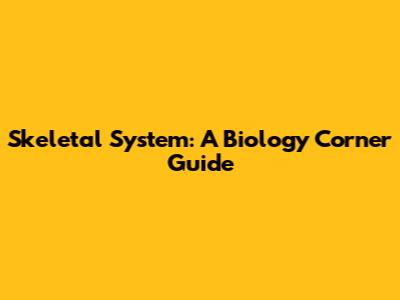 Skeletal System: A Biology Corner Guide