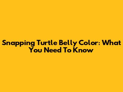 Snapping Turtle Belly Color: What You Need To Know