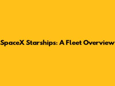 SpaceX Starships: A Fleet Overview