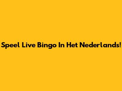 Speel Live Bingo In Het Nederlands!