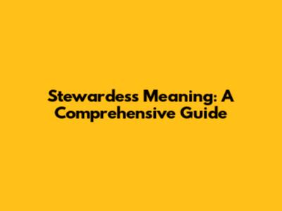 Stewardess Meaning: A Comprehensive Guide