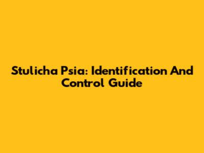 Stulicha Psia: Identification And Control Guide