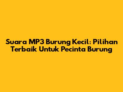 Suara MP3 Burung Kecil: Pilihan Terbaik Untuk Pecinta Burung