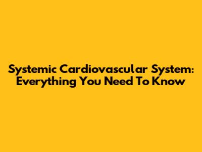 Systemic Cardiovascular System: Everything You Need To Know