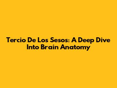 Tercio De Los Sesos: A Deep Dive Into Brain Anatomy