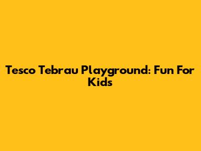 Tesco Tebrau Playground: Fun For Kids