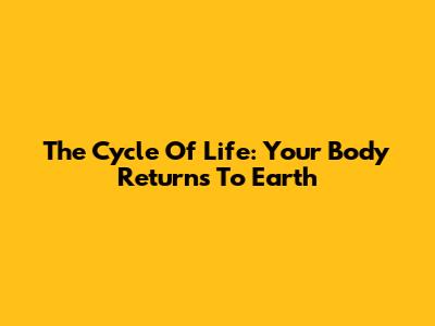 The Cycle Of Life: Your Body Returns To Earth