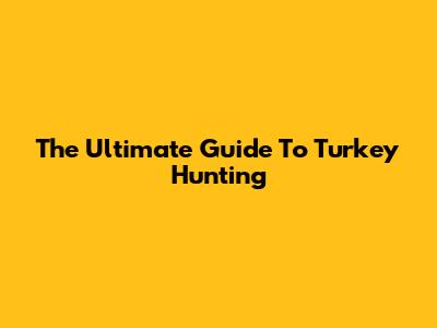 The Ultimate Guide To Turkey Hunting