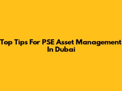 Top Tips For PSE Asset Management In Dubai