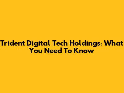 Trident Digital Tech Holdings: What You Need To Know
