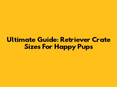 Ultimate Guide: Retriever Crate Sizes For Happy Pups