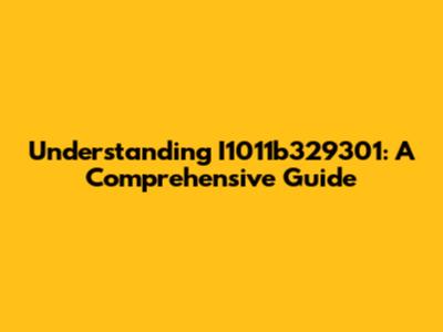 Understanding I1011b329301: A Comprehensive Guide