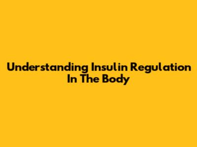 Understanding Insulin Regulation In The Body