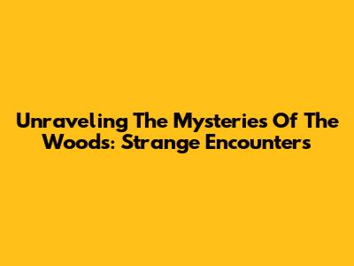 Unraveling The Mysteries Of The Woods: Strange Encounters