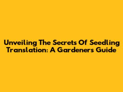 Unveiling The Secrets Of Seedling Translation: A Gardener's Guide