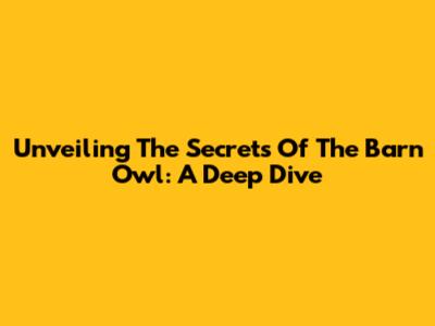 Unveiling The Secrets Of The Barn Owl: A Deep Dive