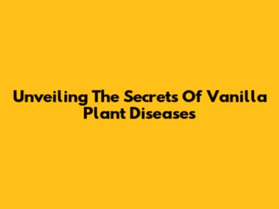 Unveiling The Secrets Of Vanilla Plant Diseases