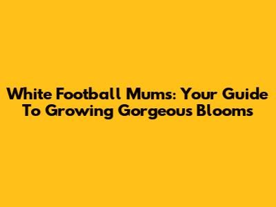 White Football Mums: Your Guide To Growing Gorgeous Blooms